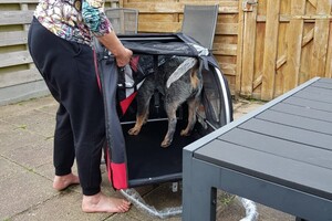 (9 mei) Happy woman's day