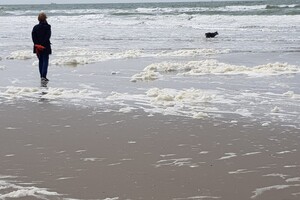 18 mei. ' Gravenzande