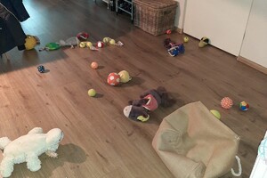 Soran Bart: ABC curcus