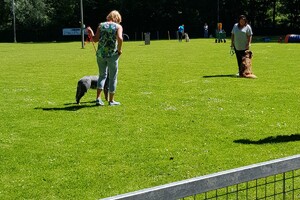 Ava Kira: EG Curcus les 2