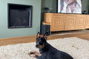 Ellis Coco: op avontuur