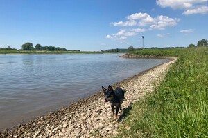 Ellis Coco: ABC lessen