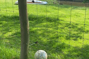 Abby Lavie: te water