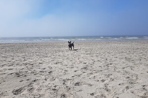 Deze foto zie je de mist aankomen