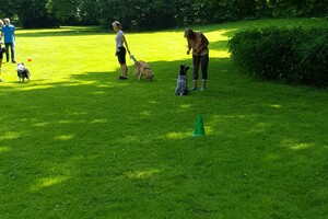 Ava Kira: EG Curcus, 3e les