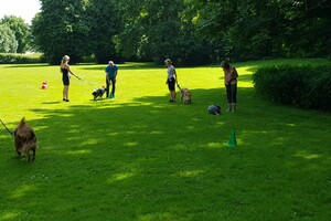 Ava Kira: EG Curcus, 3e les