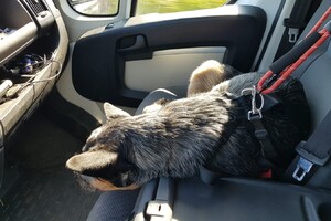 Yada, voor in de auto