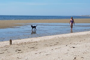 Ava Kira: aan het water