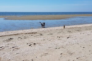 Ava Kira: aan het water