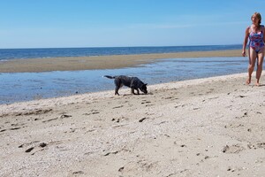 Ava Kira: aan het water