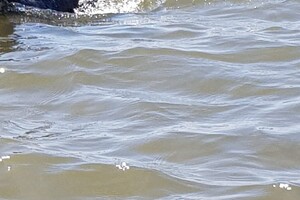 Ava Kira: aan het water