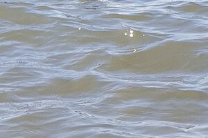 Ava Kira: aan het water