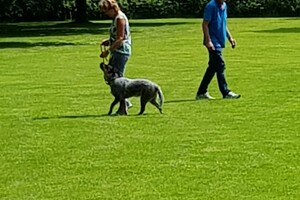 Ava Kira: EG Curcus, 4e les