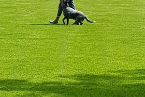 Ava Kira: EG Curcus, 4e les