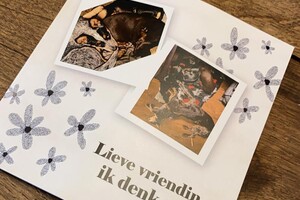 Abby Lavie: Onze roedel