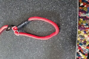 Ava Kira: EG Curcus, 5e les