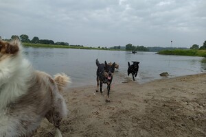 Ellis Coco: Mijn baas is creatief