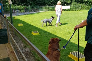 Ava Kira: EG Curcus, 5e les