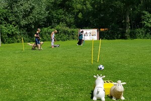 Ava Kira: EG Curcus, 5e les