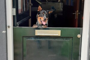 Soran Bart: bij de paarden