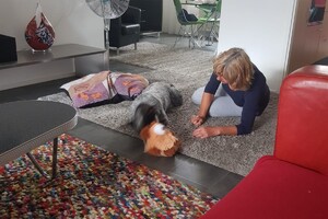 Ava Kira: nieuw speeltje