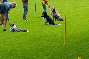 Ava Kira: EG Curcus, 6e les 