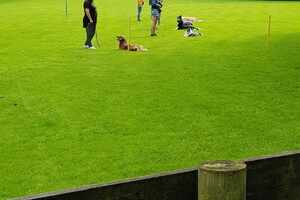 Ava Kira: EG Curcus, 6e les