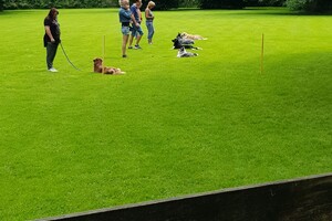 Ava Kira: EG Curcus, 6e les