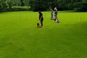 Ava Kira: EG Curcus, 6e les