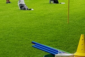 Ava Kira: EG Curcus, 6e les