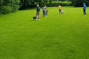 Ava Kira: EG Curcus, 6e les