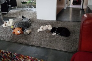 Ava Kira: mijn broertje Flynn