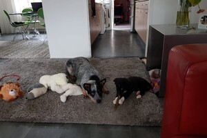 Ava Kira: mijn broertje Flynn