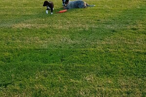 Ava Kira en Flynn: van harte gefeliciteerd met jullie trouwdag en haal ons maar