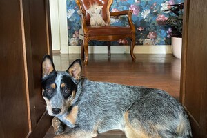 Abby Lavie: water en daarna lekker liggen