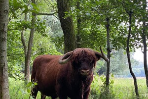 Abby Lavie: Mijn boerderij 1