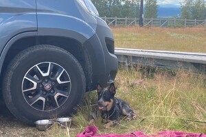 Ellis Coco: ik ben in Zweden