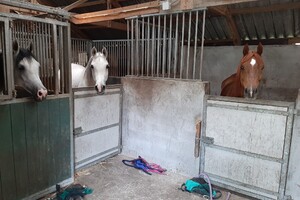 links naar rechts: Matiullah, Khan, Jawharah en Nadir