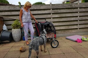 Ava Kira: trainingsveld