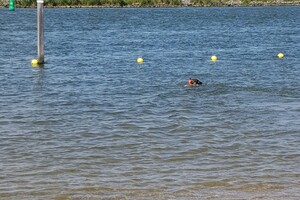 (23 augustus) Flynn aan het water