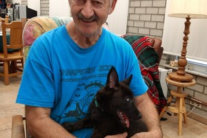 (23 augustus) Bucky Hollandse Herder