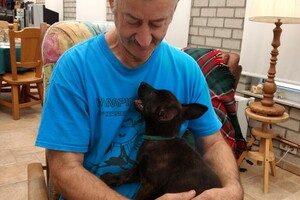 (23 augustus) Bucky Hollandse Herder