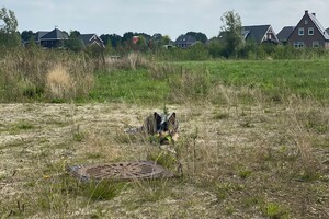 Abby Lavie: zagen in Emmen
