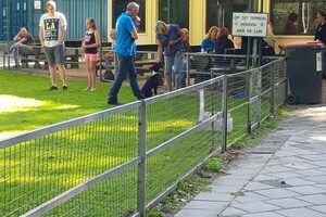 Flynn: eerste hondenschool les