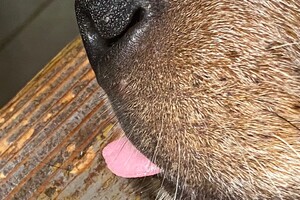 Familie trekje? Ze ligt te slapen, ver weg.