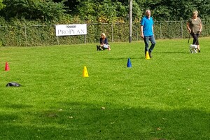 Ava Kira: hondenschool 