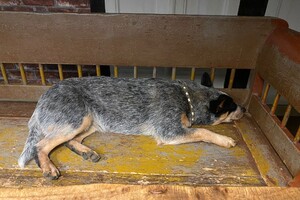 14 september: Na een dag in Drenthe