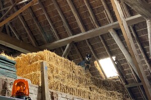 Abby Lavie: Mijn boerderij 2