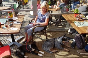 21 september: Vandaag Delft, was perfect wandelweer