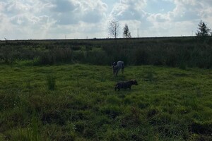 (22 september)Abby Lavie:Marion jarig